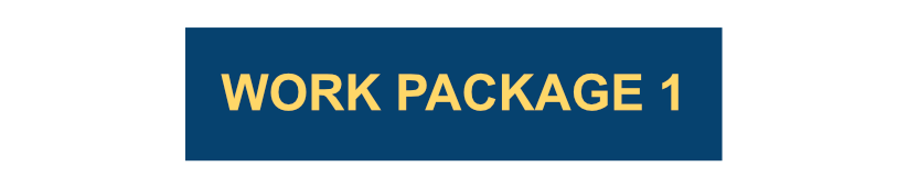 Work Package 1