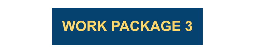 Work Package 3
