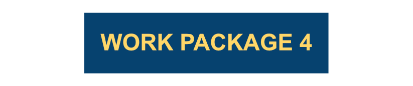 Work Package 4